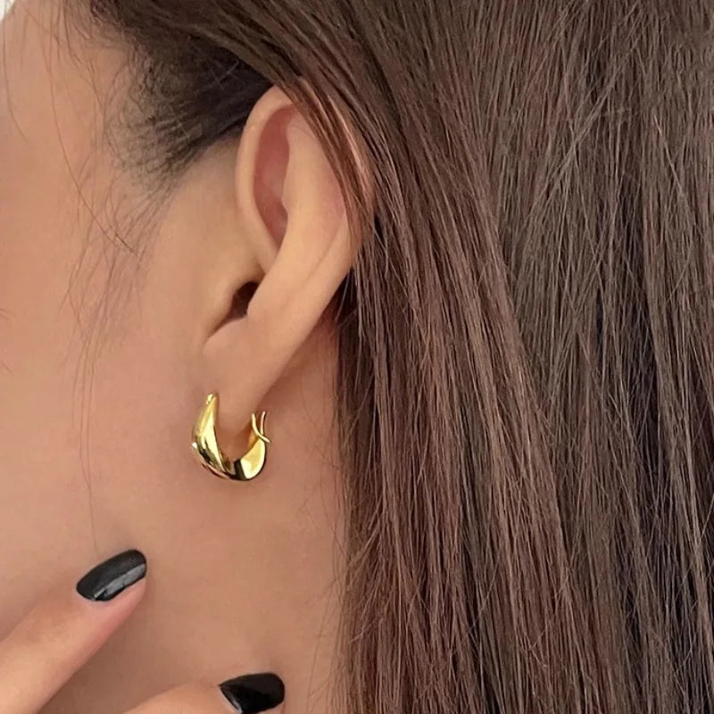 Silver Earrings